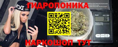 гидра Шелехов