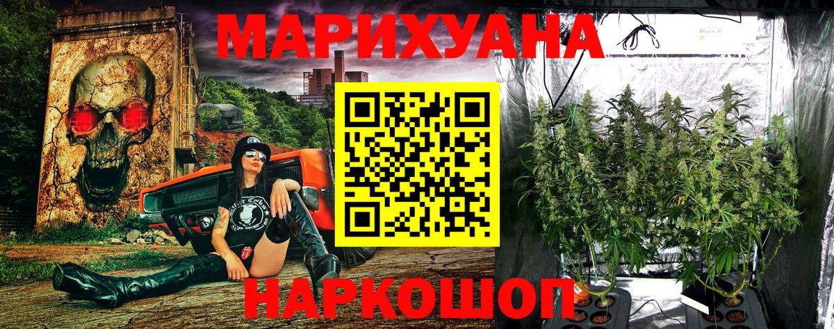 Бошки марихуана планчик  Канабис гибрид  Архангельск  Вход с VPN  Каннабис Bruce Banner 